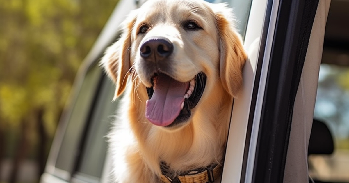 RV Safety Tips for Traveling With Dogs: Must-Know Strategies